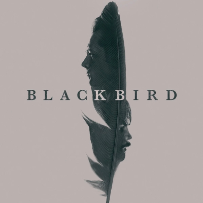 Black Bird